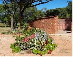 The Remembrance Garden: aloes and flowers beside a face-brick wall